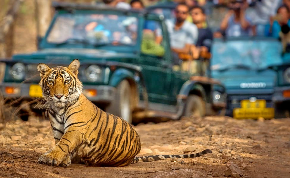 Ranthambore National Park