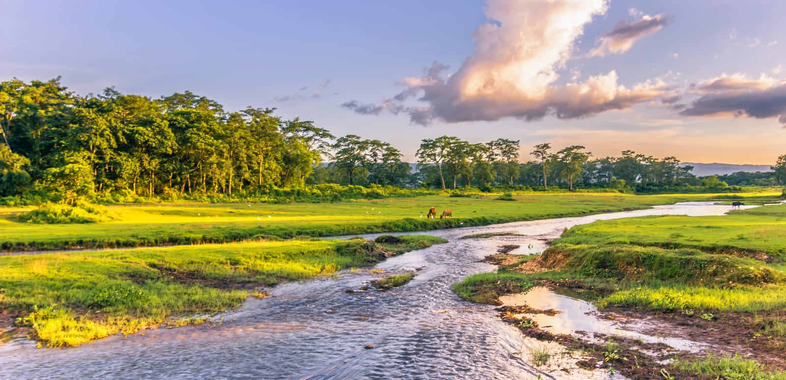 Chitwan National Park
