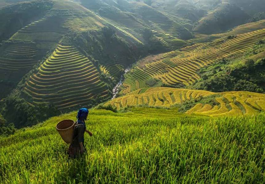 Nagaland