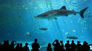 Underwater World Pattaya
