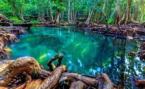 Emerald Pool