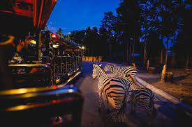 Night Safari Singapore