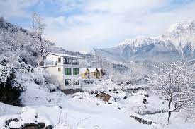 Auli