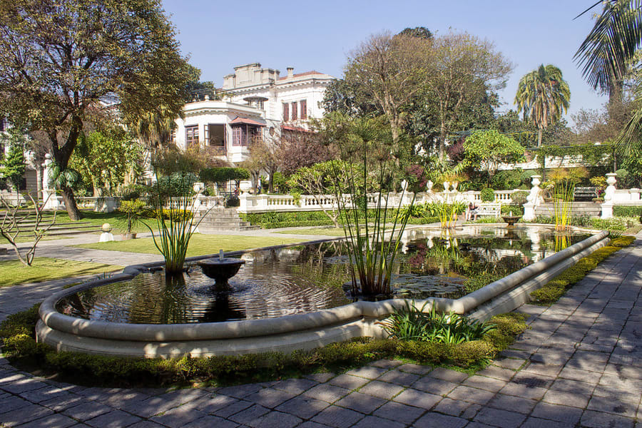 Garden Of Dreams