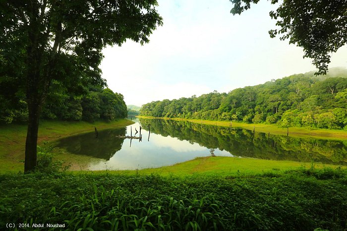 Thekkady 